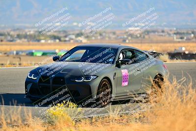 media/Nov-16-2024-Extreme Speed (Sat) [[6587d07cc4]]/Orange Group/Session 3 (The Bowl)/